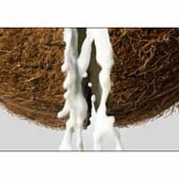 Coconut Milk 01