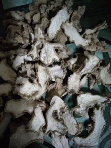 Organic Dried Ginger Slices 01