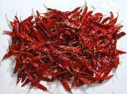 Dry Red Chilli 02