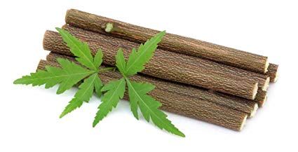 Neem Stick 01