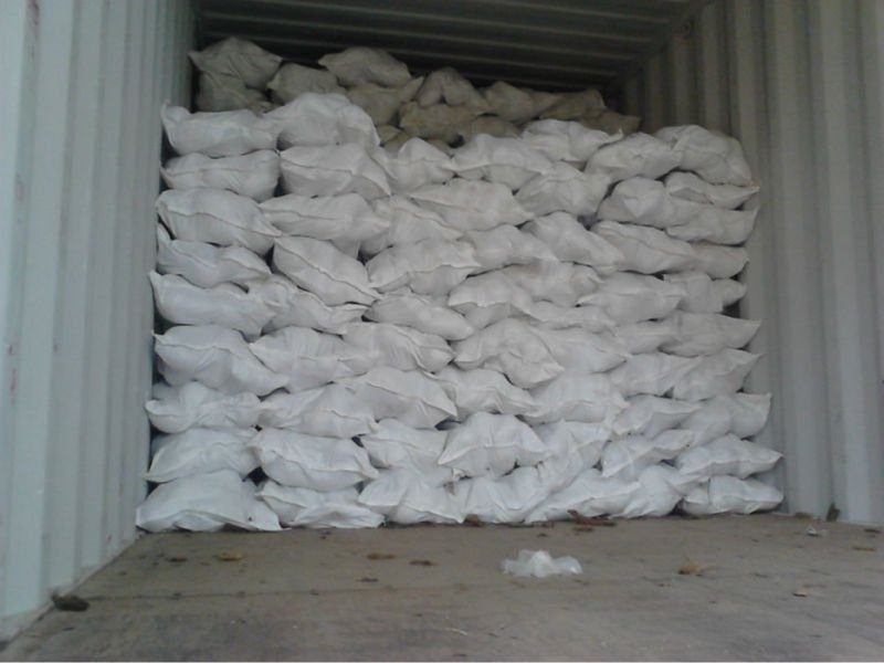 Semi Husked Coconut 01