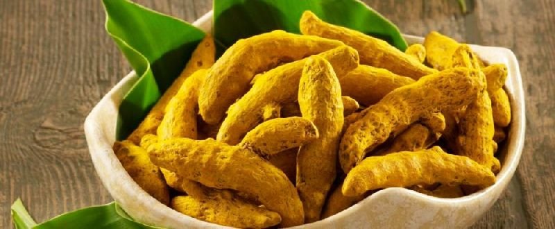 Turmeric Finger 01