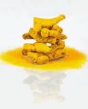 Turmeric Finger 03