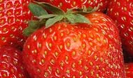 Strawberry Powder 02
