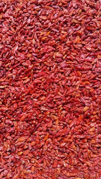 Bird Eye Chilli 02