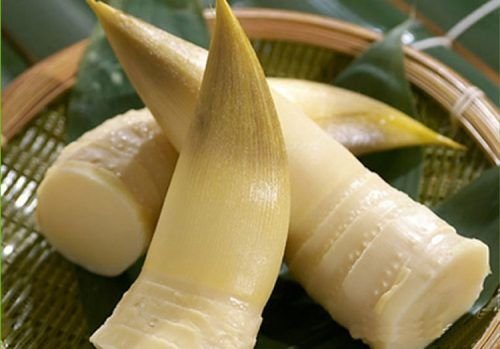 Fresh Bamboo Shoot 02
