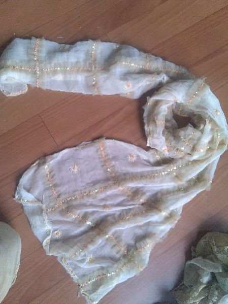 Chiffon Embroidered Stoles 15