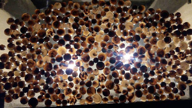 Buffalo Horn Button 03