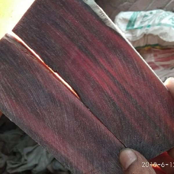 Buffalo Horn Plate 02