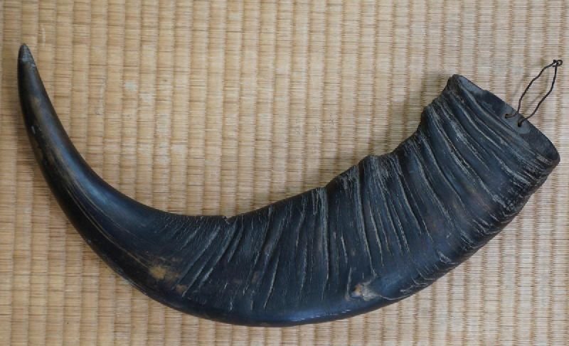 Drinking Horn 02