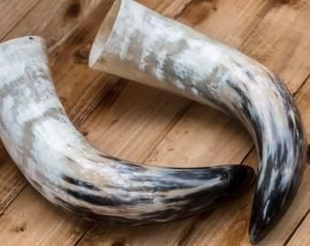 Drinking Horn 05