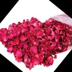 Dried Rose Petal 02