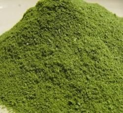 Moringa Leaf Powder 03