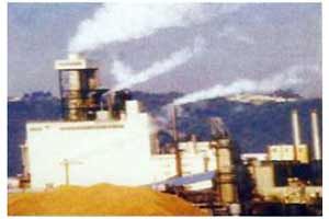 Thermal Power Stations