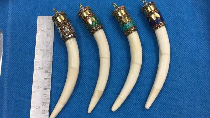 Bone Pendants