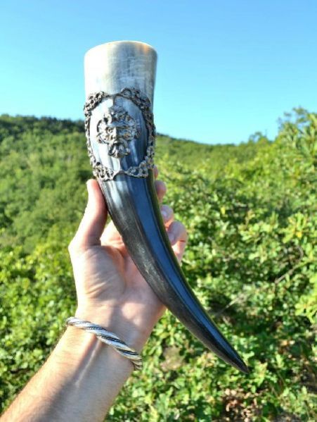Drinking Horns
