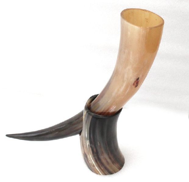 Drinking Horns