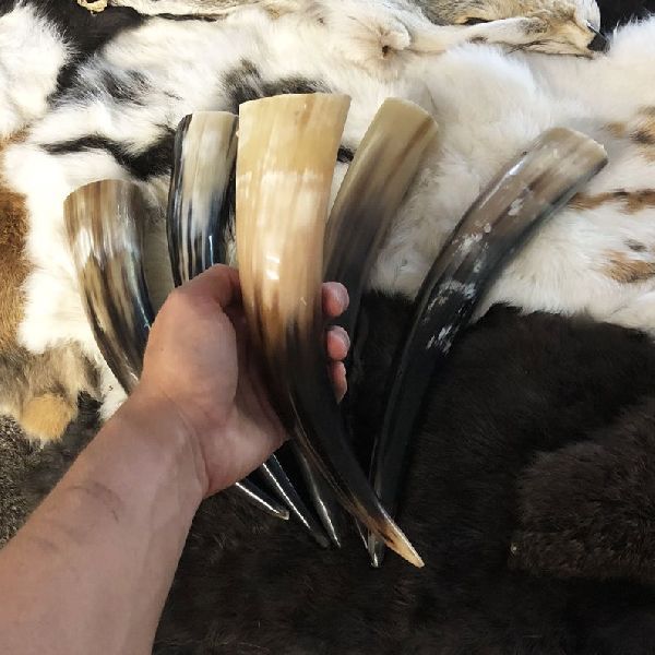 Drinking Horns