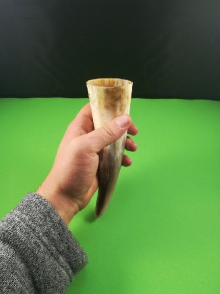 Drinking Horns
