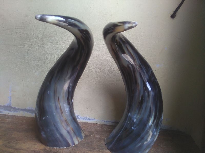 Drinking Horns