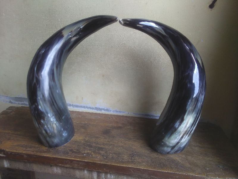 Drinking Horns