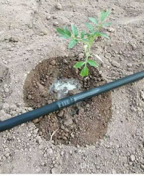 Drip Irrigation Services 02
