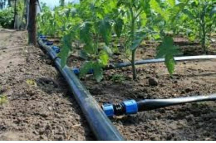 Drip Irrigation Services 04