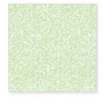 Green Anti Skid Series Ceramic Tiles