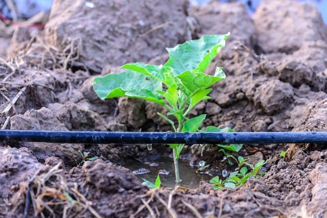 Drip Irrigation Pipe 04