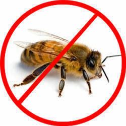 Honey bee control