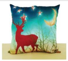 DP-002 Digital Print Cushion Cover