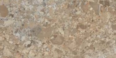 60X120 cm Chipson Brown Ceramic Tiles