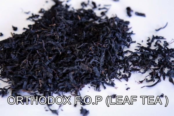 Orthodox FOP (Leaf Tea)