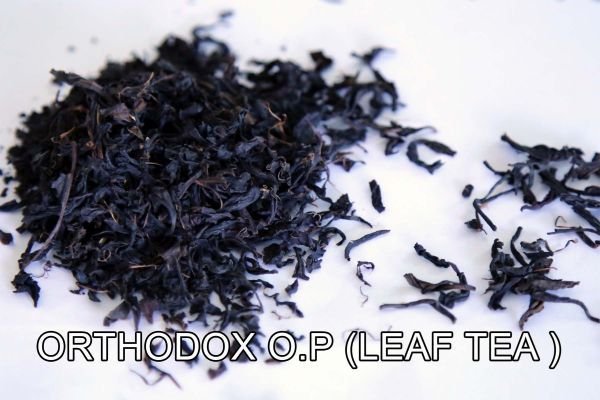 Orthodox OP (Leaf Tea)