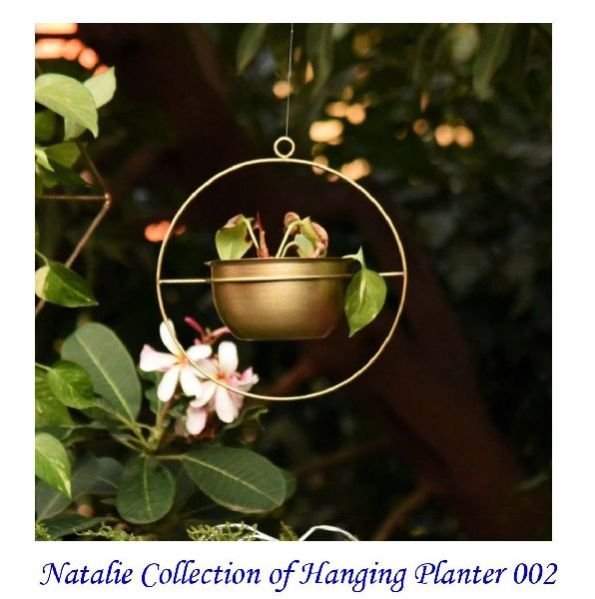Natalie Collection Of Hanging Planter 002