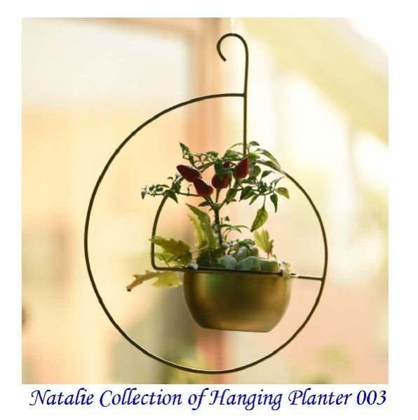 Natalie Collection Of Hanging Planter 003