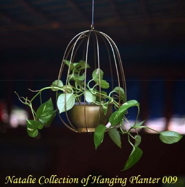 Natalie Collection Of Hanging Planter 009