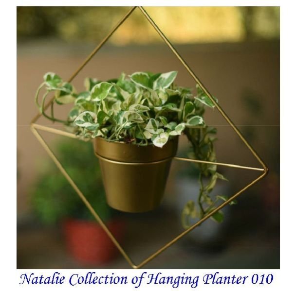 Natalie Collection Of Hanging Planter 010