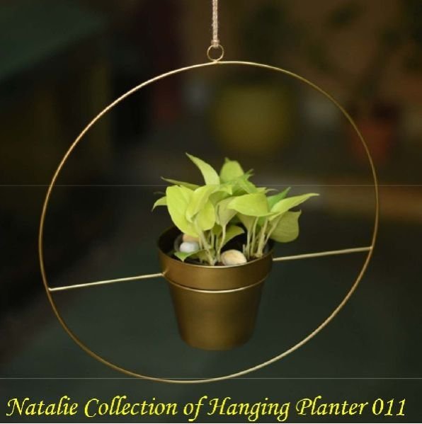 Natalie Collection Of Hanging Planter 011