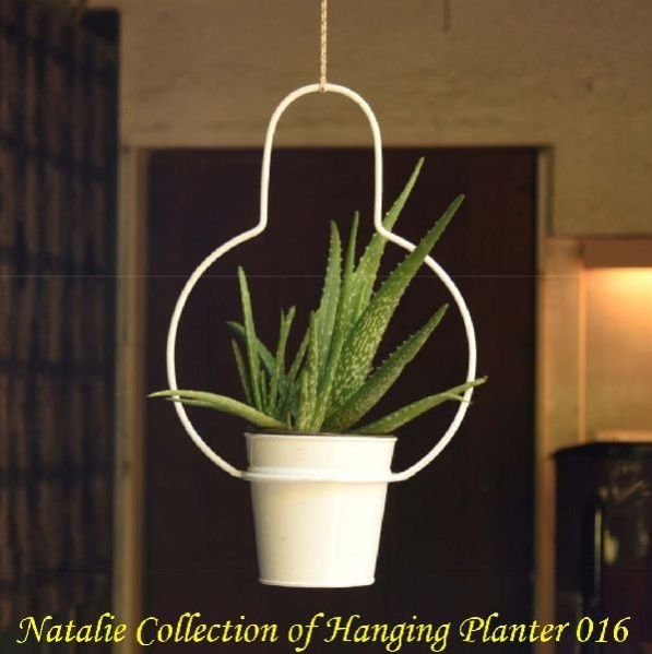 Natalie Collection Of Hanging Planter 016