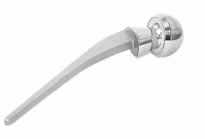 Bipolar Prosthesis Xl Non-Fenestrated