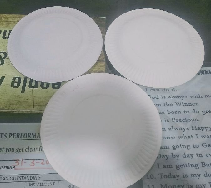 Paper Plate 07