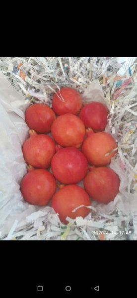 Fresh Pomegranate 13
