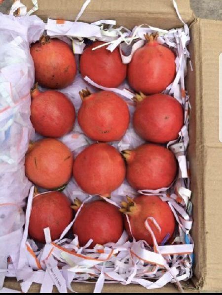 Fresh Pomegranate 14