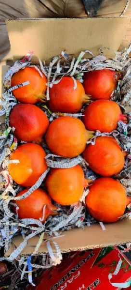 Fresh Pomegranate 17