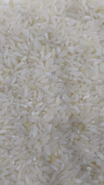 Sona Masoori (Sortex Plant)