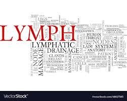 LYMPHATIC DRAINAGE - B