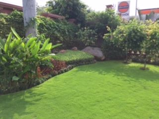 Landscape Development Service 02