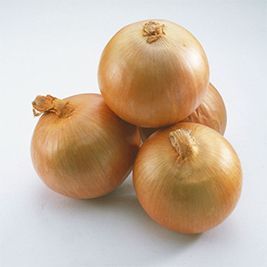 Fresh Yellow Onion