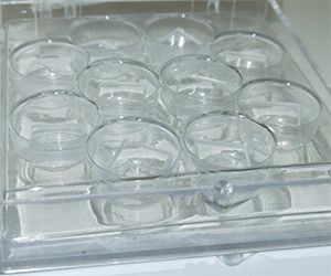 Photop Polorizer Sheets